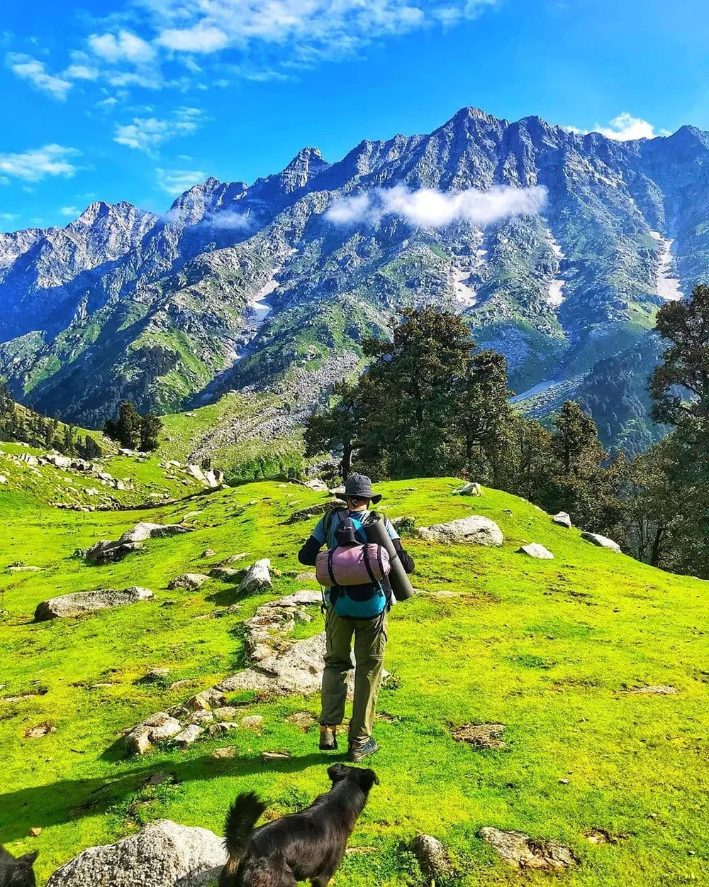 A 3D Vacations guide taking in the Himalayan view