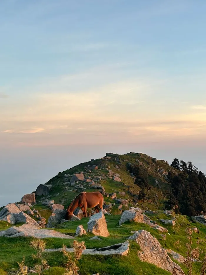 Camp tents on a high Himalayan ridge