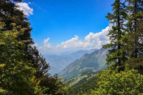 Green forested slopes of the Kullu valley