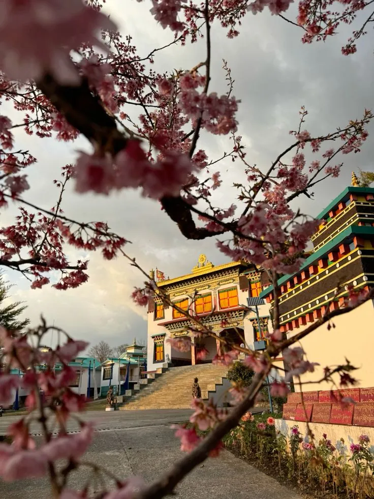 Monastery framed by spring blossoms, Bir