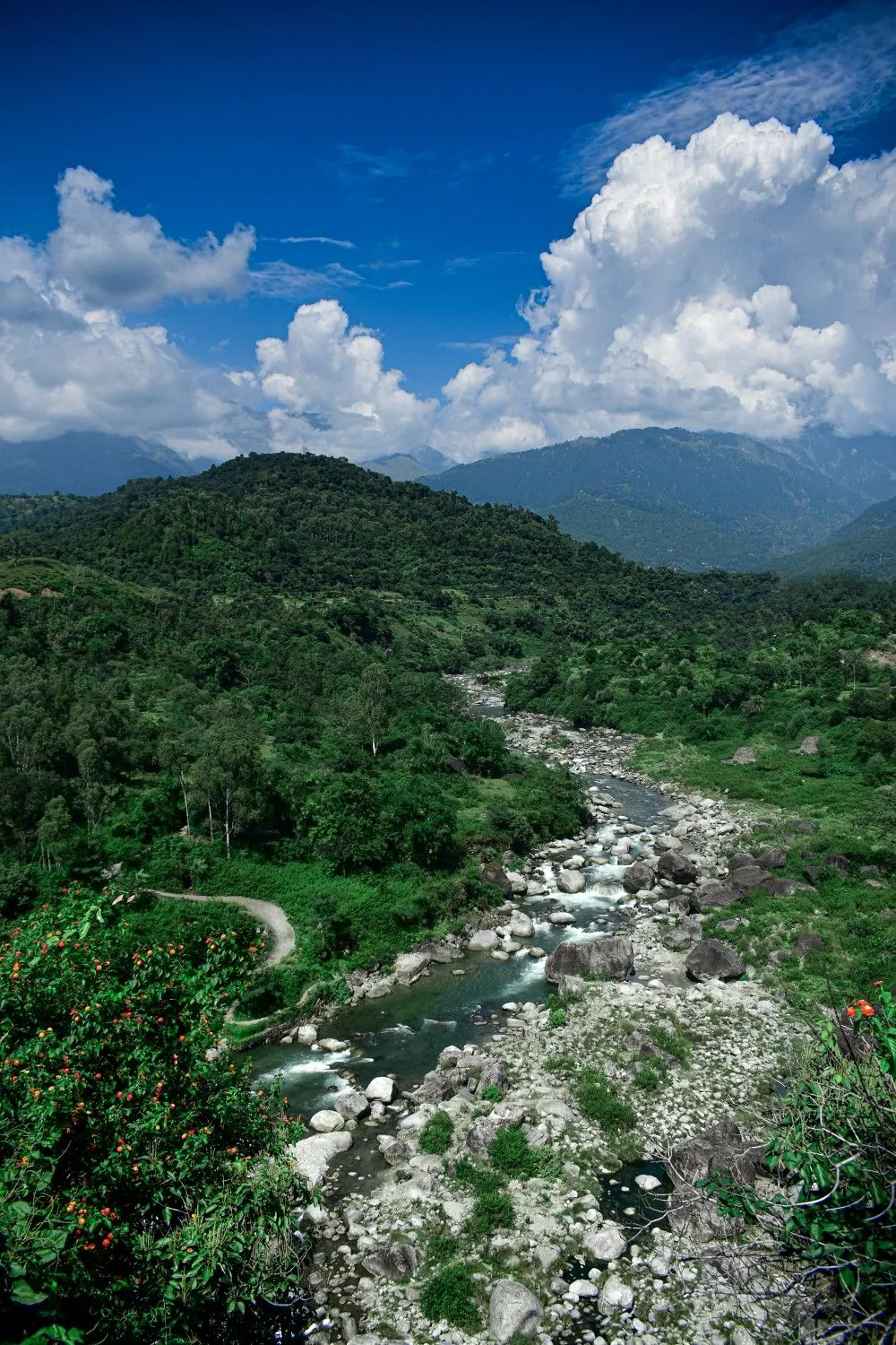 The winding road toward Rohtang Pass