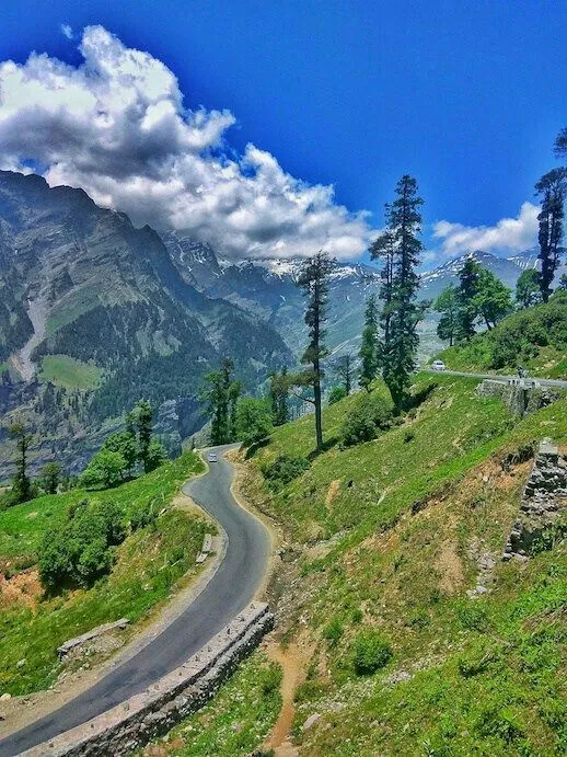 High-altitude meadows near Rohtang