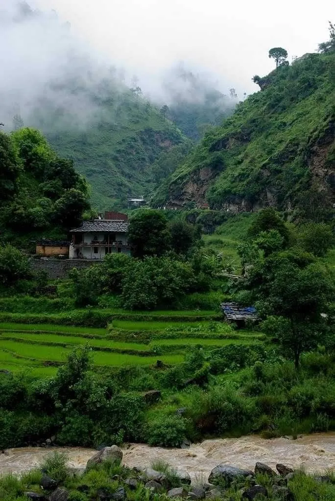 Terraced fields of the Tirthan valley