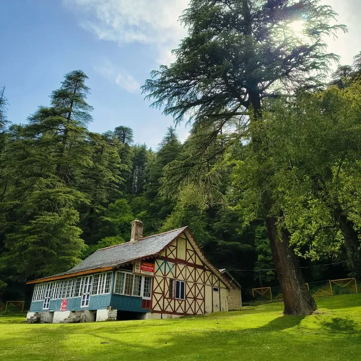 Heritage timber cottage among deodar cedars
