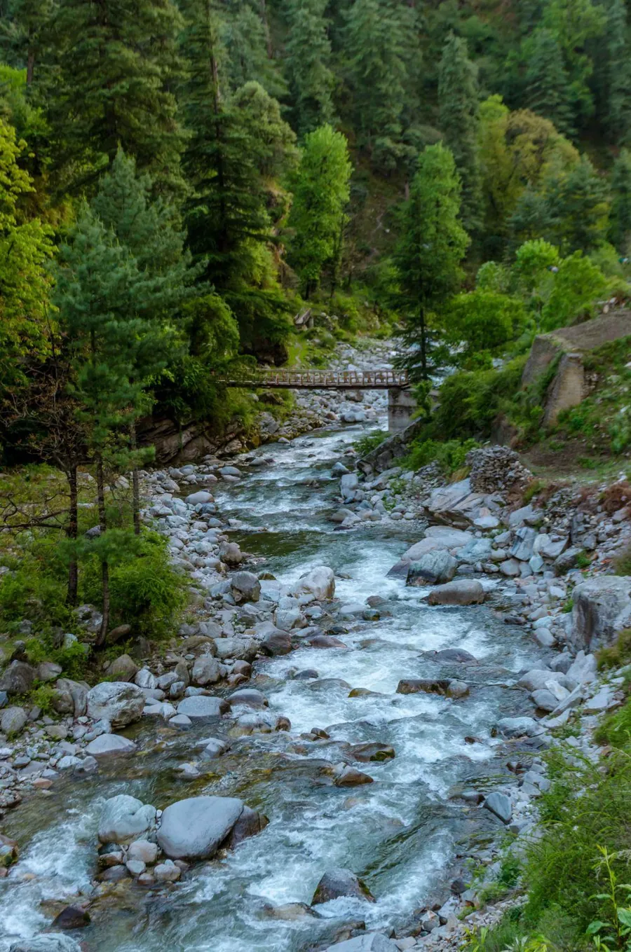 Mountain stream running through the Tirthan valley